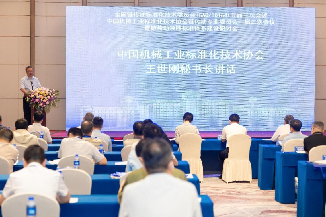 王世刚讲话